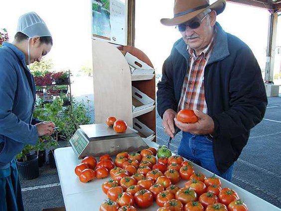 Farmers-Mkt---BashamWEB