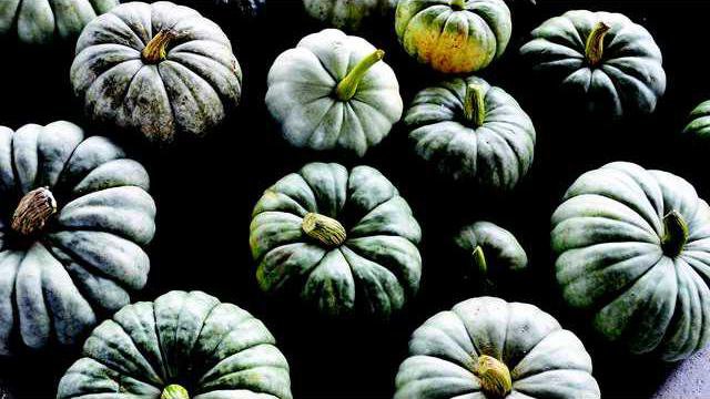 Jarrahdale pumpkins 2