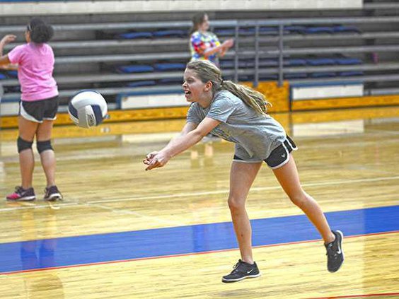 VolleyballWEB
