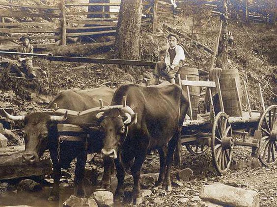 Water-wagon---old-Spring-StreetWEB