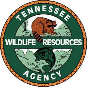 tn sa logo 290.png