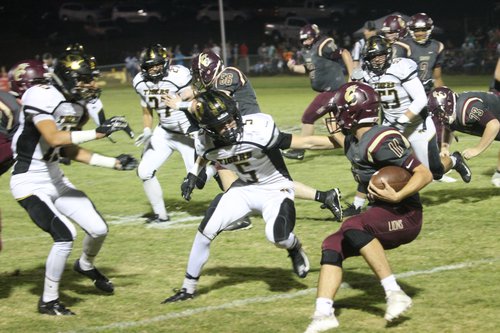 Tiger defense