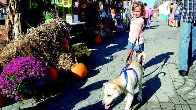 Autumn girl dog