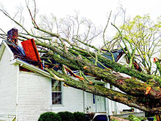 Storm - Tree on house