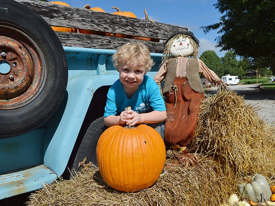 Cedar - pumpkin boy original.jpg