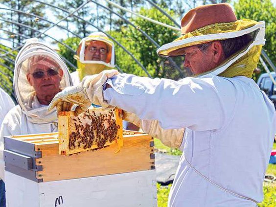 beekeepers1WEB