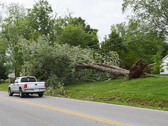 Debris-pickup-34WEB