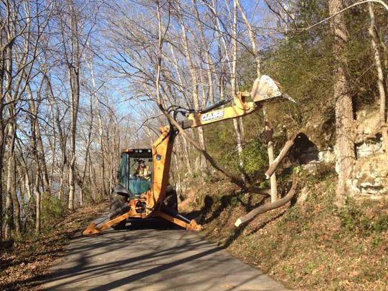 greenway tree removal2