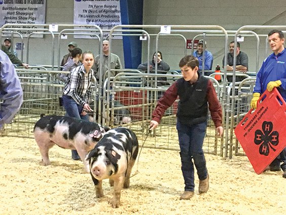 1  John Porter Prate hog show '19.jpg