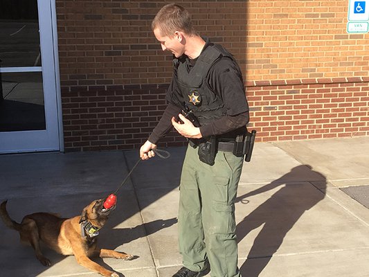 K-9 with deputy.jpg