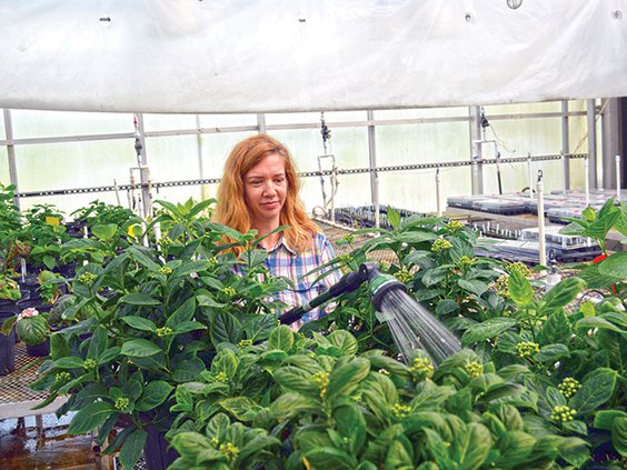 Research Center - watering.jpg