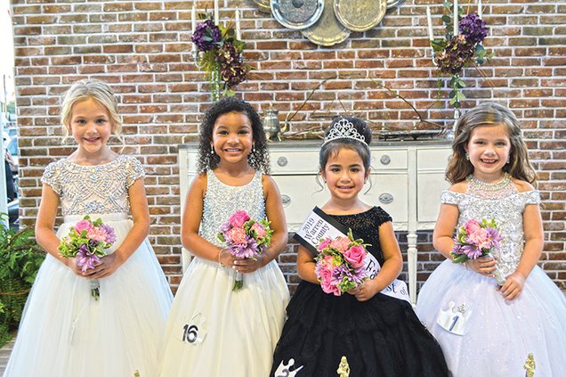 Tiny Fairest Court2.jpg