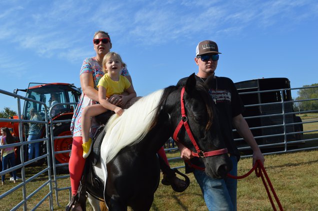 Ag Day horse