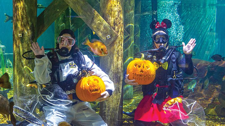 Halloween aquarium.jpg