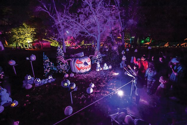 Jack's Pumpkin Glow.jpg