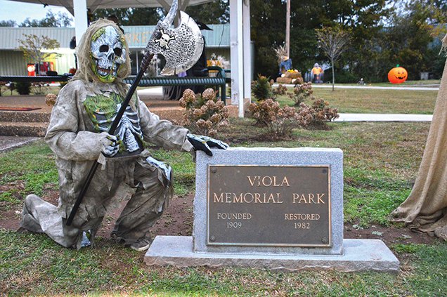 Viola Halloween.jpg