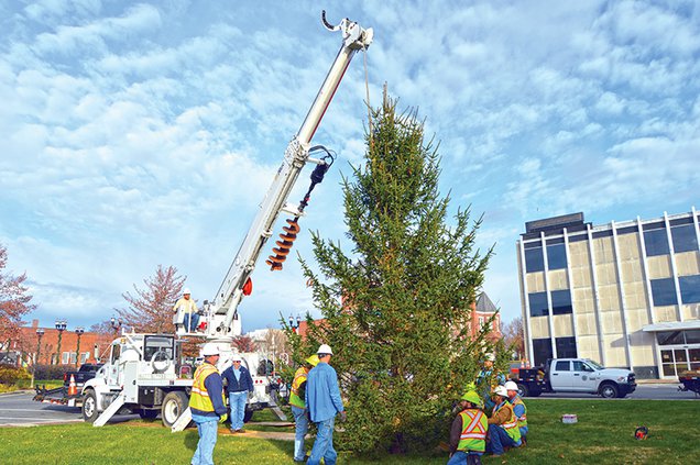 Christmas tree2.jpg