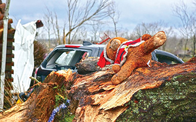Storm damage - Cookeville 4.jpg