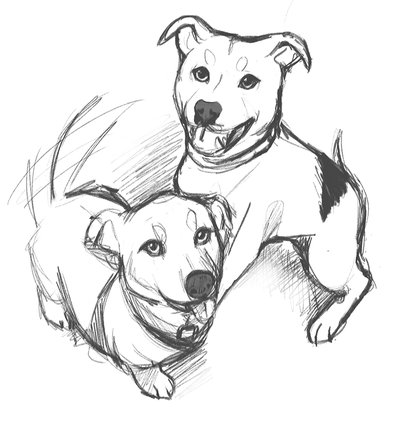 Pet Cartoon pictures, after.jpg