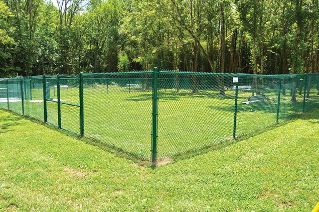 Dog Park Coming Soon 1.jpg