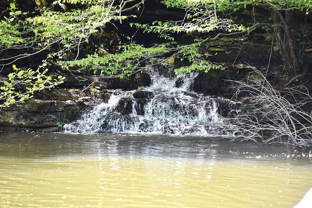 McMinnville Garden Club - waterfallCMYK.jpg