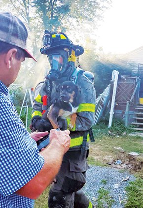 Firefighters rescue puppies1.jpg