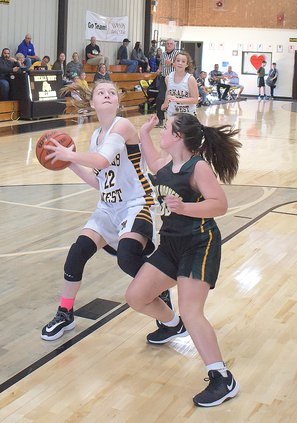Lady Bulldog