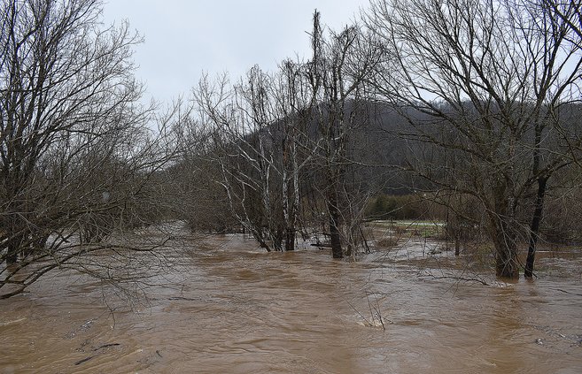 Flood