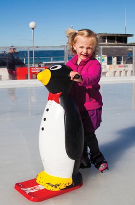 Ice Skating rink5.jpg