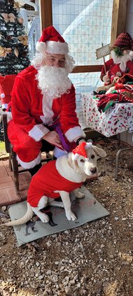 Animal Control Open House.jpg