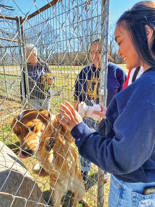 NHS Donates to dogs 3 copy.jpg