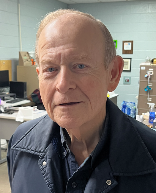 Observance and Insight Brown bears and red birds Southern Standard