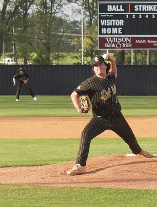 Tigers