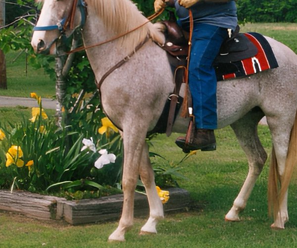 Obits Smithville Review