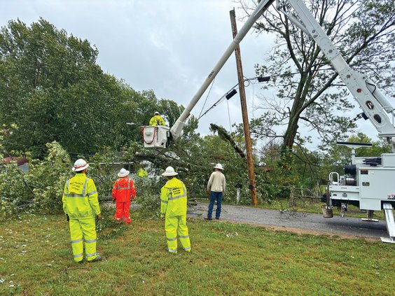 Tree down.jpg