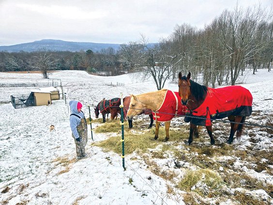 Adaline Lee with her horses.jpg